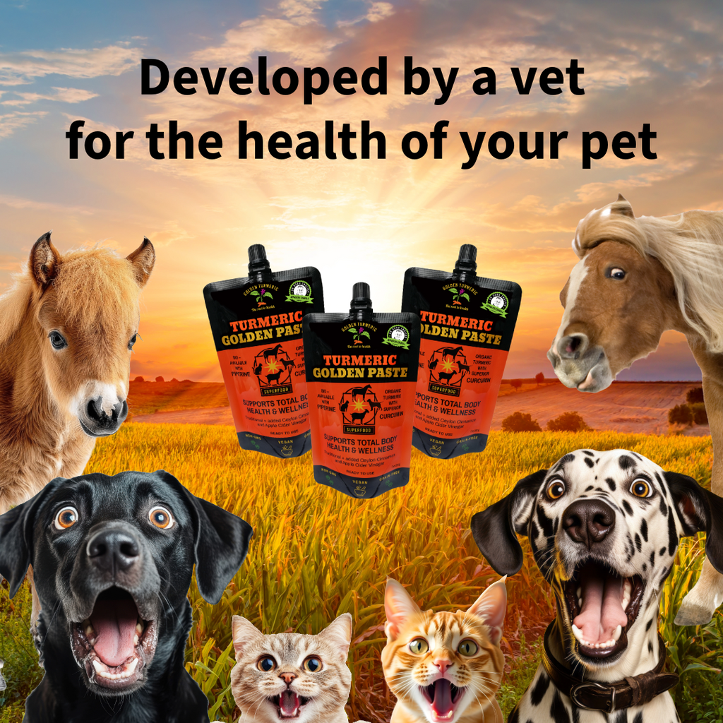 Turmeric Golden Paste Pets-4
