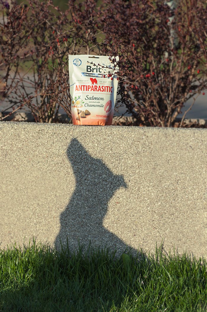 Antiparasitic dog food package with dog's shadow in sunlight.